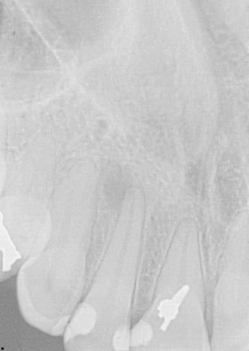 Integrating Nutrition and Wellness Into Your Dental Practice, Part 1 image 1