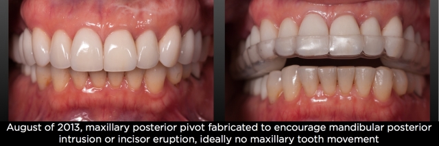 The Dahl Concept image 10