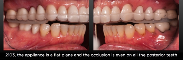 The Dahl Concept image 11