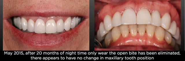 The Dahl Concept image 12