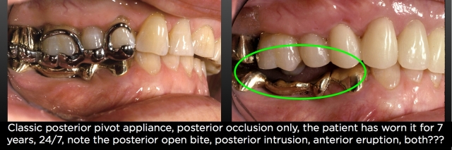 The Dahl Concept image 5