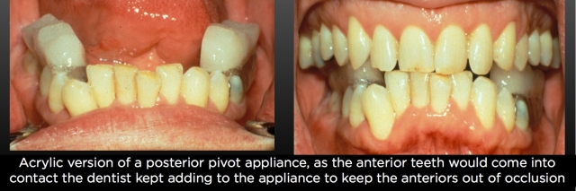 The Dahl Concept image 6