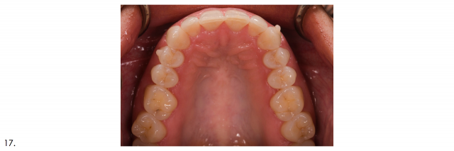 Recommended Photography Series image 10