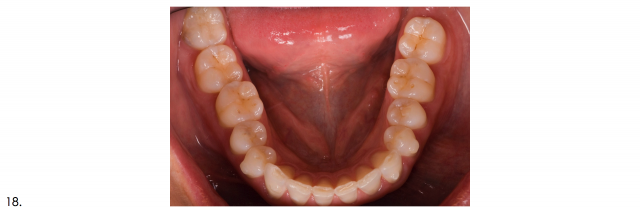 Recommended Photography Series image 11