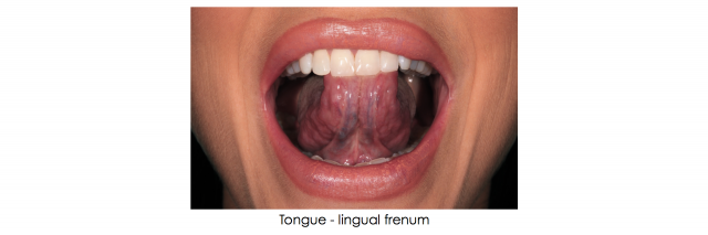 Recommended Photography Series image 15