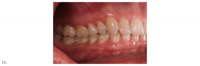 Recommended Photography Series image 4