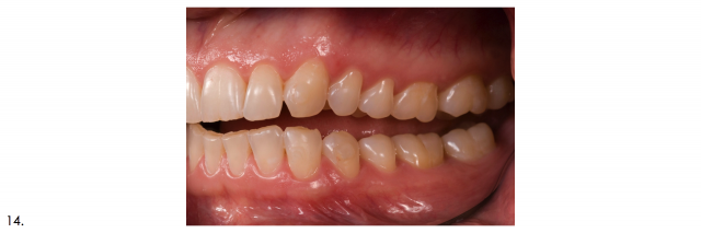 Recommended Photography Series image 7