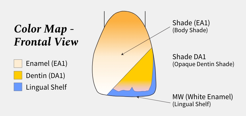 Color and Shade Selection for Anterior Composites image 1