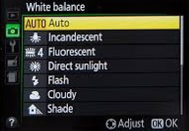 White Balance: The Unsung Hero in Dental Photography Wehking white balance hero 01