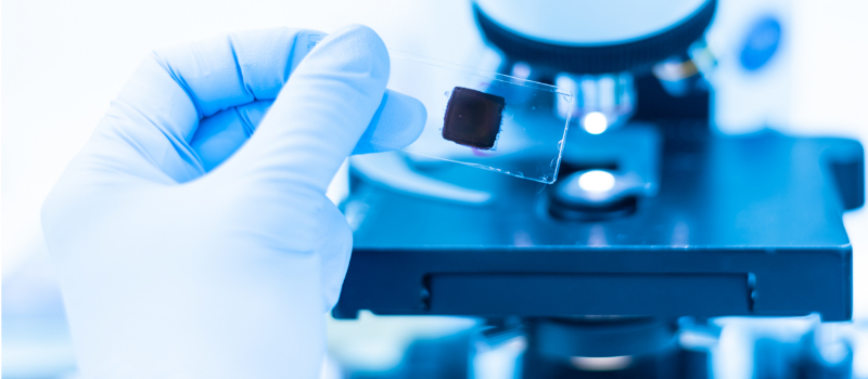 Protocols, Systems, and Equipment: What To Consider Choi protocols systems 01