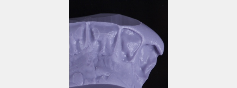 Smithson Planning class iv workhorse pt1 22