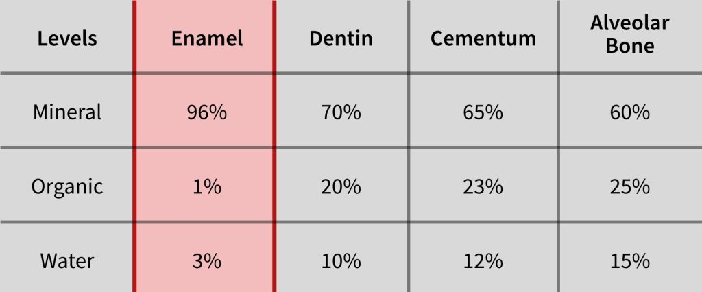 Three Keys to Ceramic Dental Adhesion: Enamel, Dentin, and Cementum Variations Bonk three keys ceramic dental adhesion 01