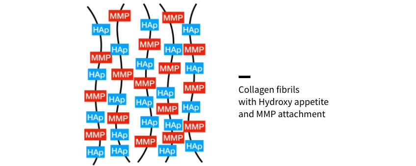 Bonk benefits of chlorohexidine 02