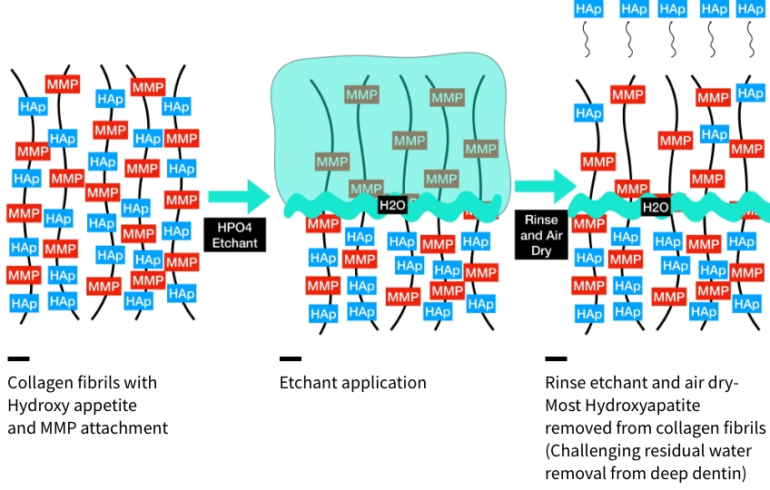 Bonk benefits of chlorohexidine 03