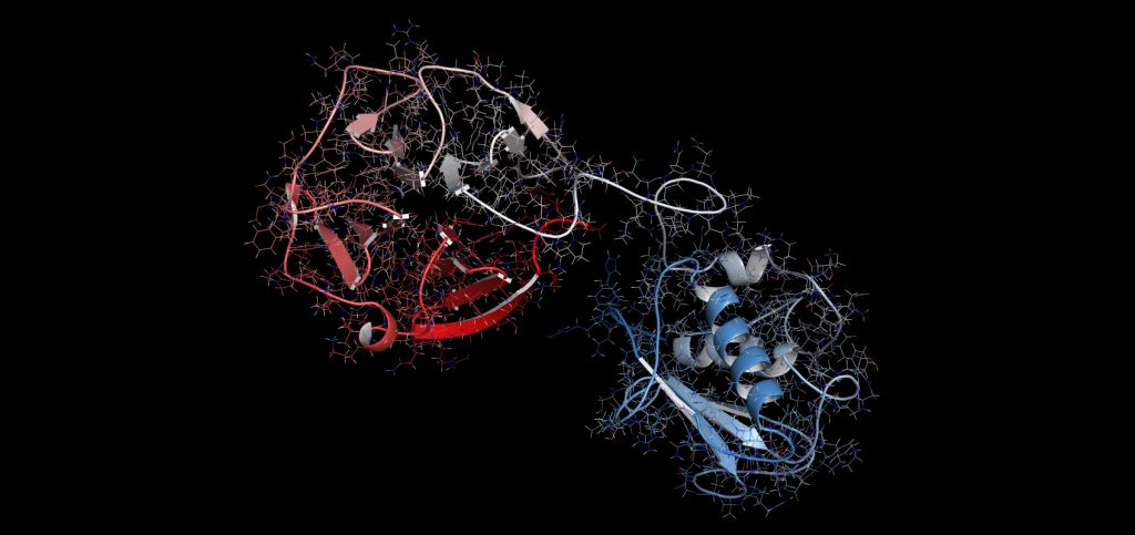 How MMPs Affect Your Adhesive Dentistry Jason Smithson MMPs Fig 1