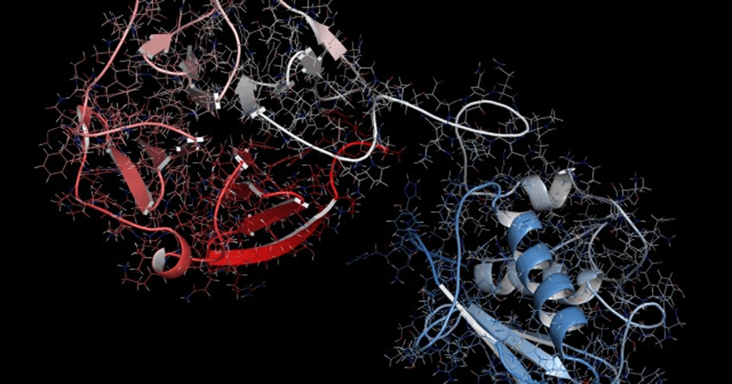 How MMPs Affect Your Adhesive Dentistry