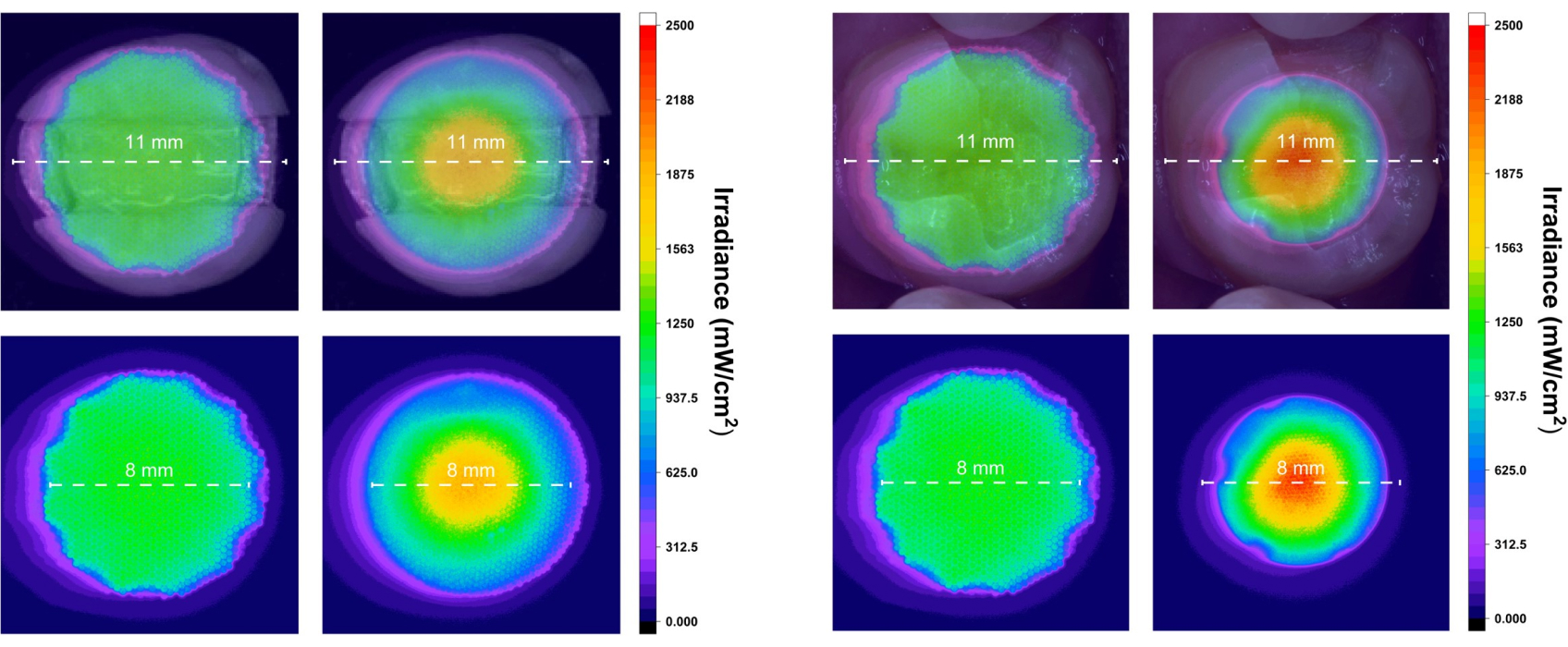 9875 Bonk Resins Fig 7 8