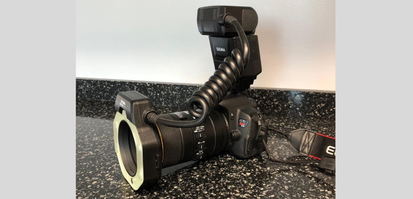 Flash Systems for Dental Photography Andy Janiga Flash Systems Chart Image Fig1