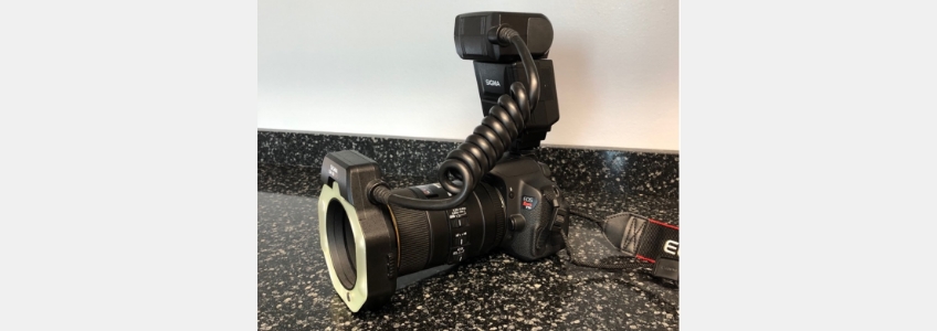 AndyJaniga DentalPhotography101 Fig.1