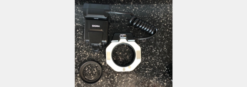 AndyJaniga DentalPhotography101 Fig.3