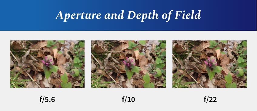 AndyJaniga DentalPhotography101 Fig.8