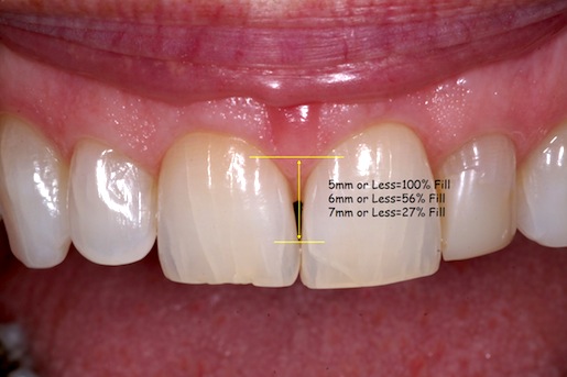 Papilla: Don't Call it a Comeback Jeff Lineberry Papilla Dont Call it a Comeback Featured Image