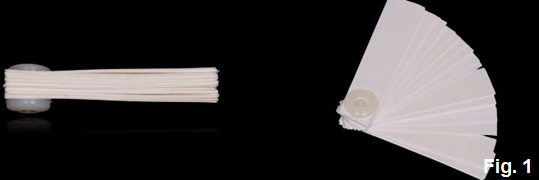 Kevin Kwiecien Using a Leaf Gauge With Intention Figure 1