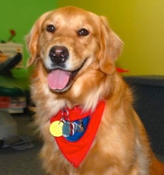 Dogs Take a Bite Out of Dental Office Anxiety Prichard dogs take bite out of anxiety 01