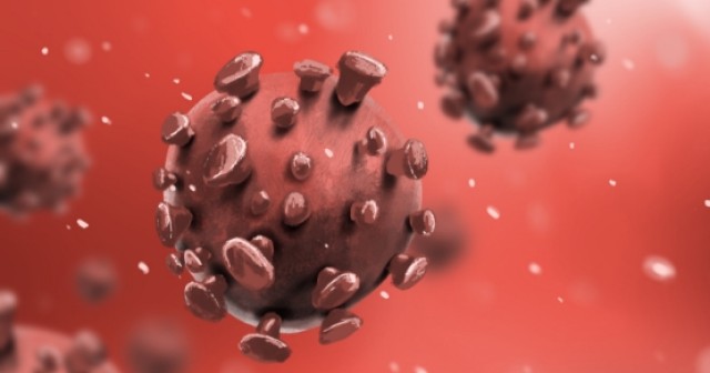 OSHA and CDC Guidelines for Dentistry: Training Your Dental Staff on Bloodborne Pathogens Spear Team OSHA and CDC Guidelines for Dentistry Featured Image