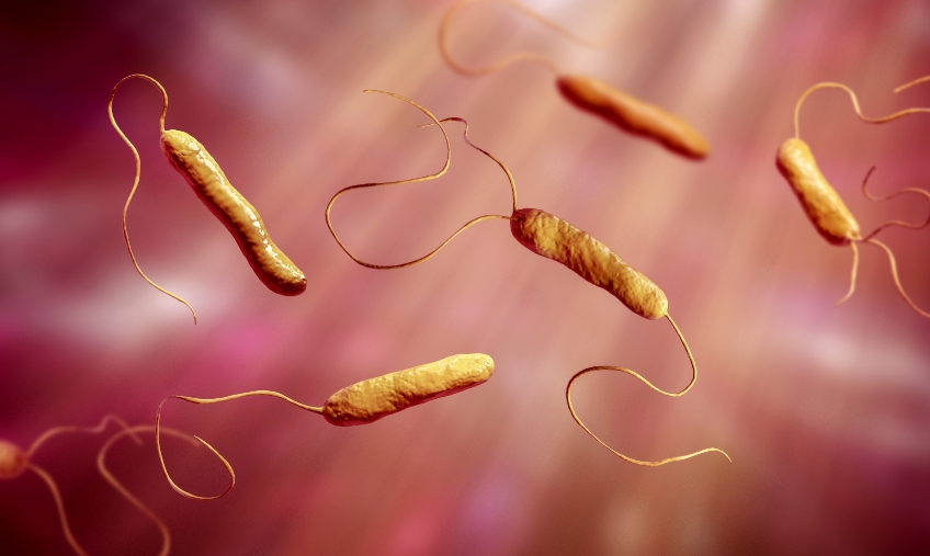 Tracking and Controlling the Risk of Endocarditis With Dental Procedures SpearTeam tracking and controlling the risk of endocarditis with dental procedures Fig.1