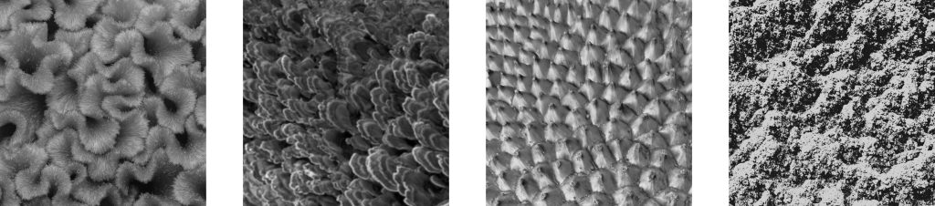 Digest Smithson Adhesion Part 1 Fig 1 1