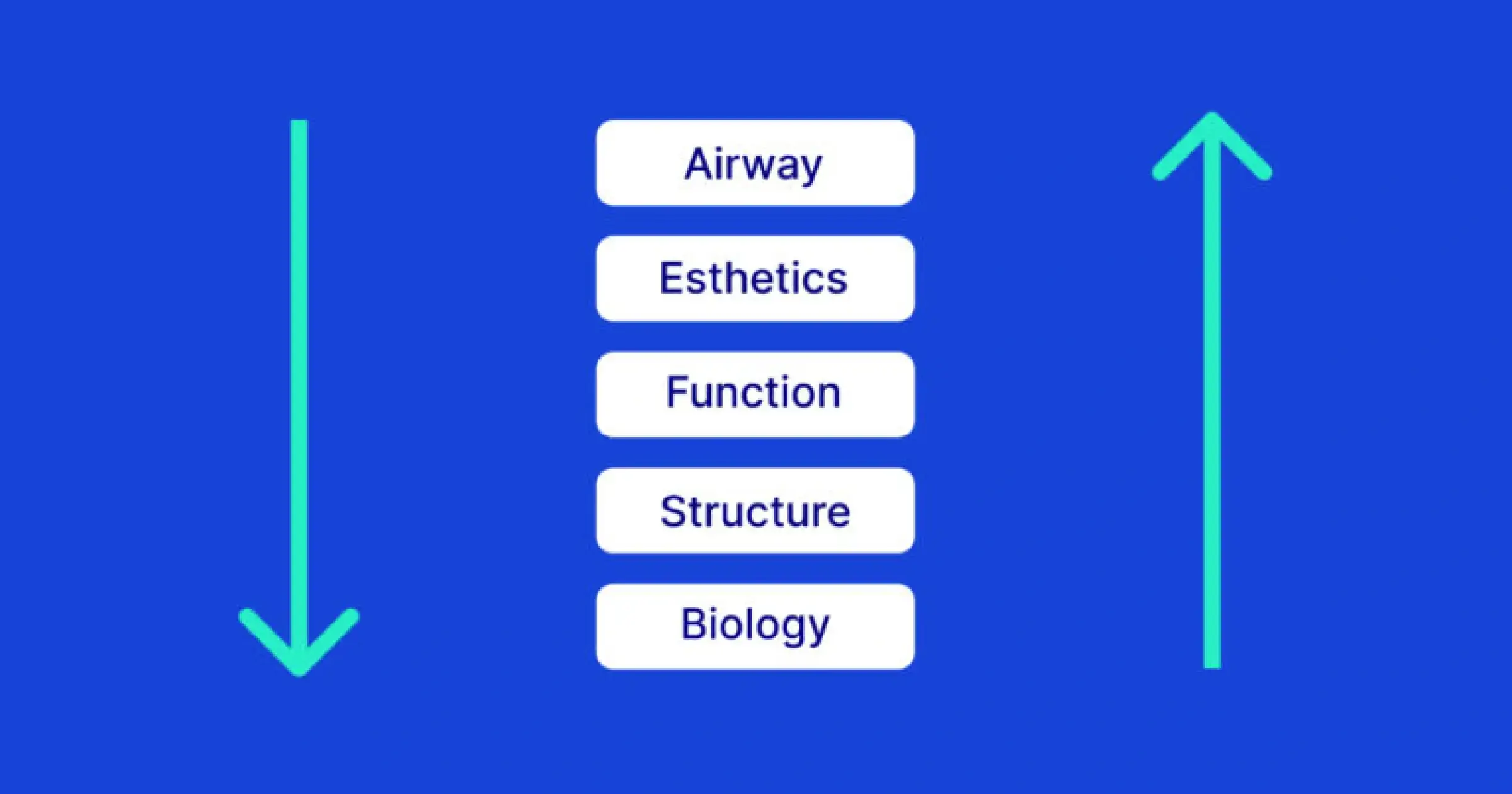 Conquer Advanced Dental Treatment Planning With AEFSB Conquer Advanced Dental Treatment Planning With AEFSB